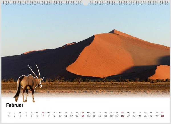 Namib 3.jpg