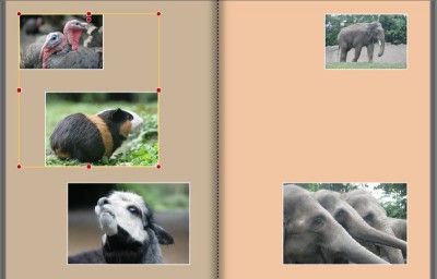 copypaste-A-links-markieren-und-kopieren.jpg (58.67 KiB) 4540 mal betrachtet copypaste-A-links-markieren-und-kopieren.jpg