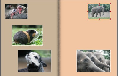 copypaste-B-auf-Zielseite-rechts-markieren.jpg (58.49 KiB) 4540 mal betrachtet copypaste-B-auf-Zielseite-rechts-markieren.jpg