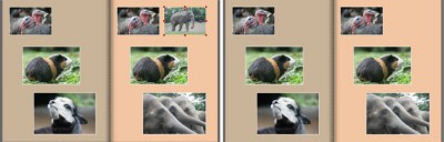 copypaste-C-auf-Zielseite-rechts-einfügen_Vergleich.jpg (54.63 KiB) 4540 mal betrachtet copypaste-C-auf-Zielseite-rechts-einfügen_Vergleich.jpg