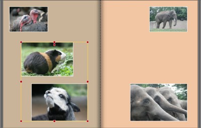 copypaste-E-auf-Zielseite-links-markieren.jpg (60.18 KiB) 4540 mal betrachtet copypaste-E-auf-Zielseite-links-markieren.jpg