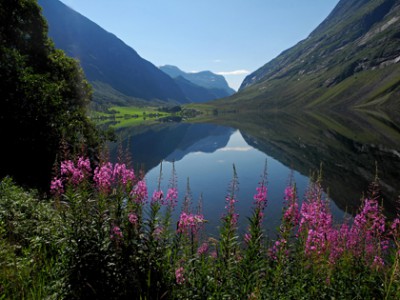 DSCN9217a.jpg