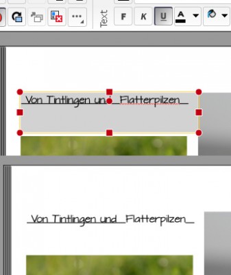 Rechtschreibprüfung-Format-U.jpg