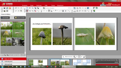 myphotos2.jpg