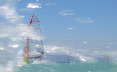 surf2.jpg