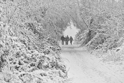 16123212275_bbd7cc0af6_z[1].jpg
