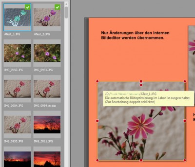 CEWE-Fotobuch_01.jpg