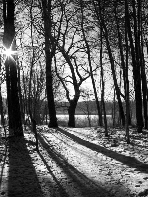 100_3168sw.jpg