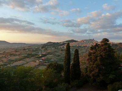 P1020071_800x600.JPG