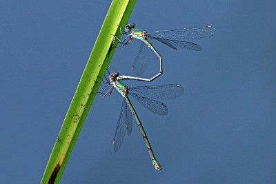 IMG_1400.JPG