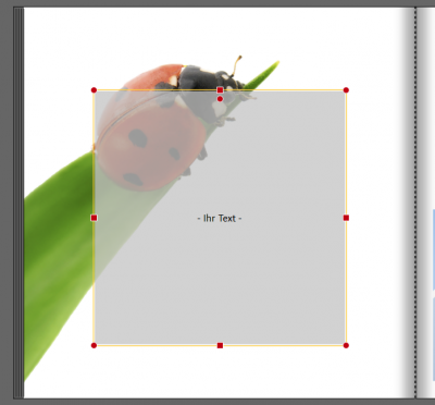 2015-04-24_11h11_26.png