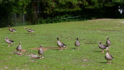 IMG_1712_900.jpg