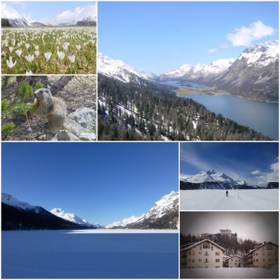 Collage.jpg