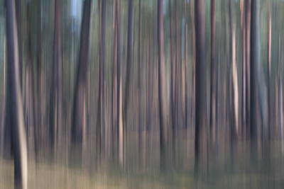 AB.jpg