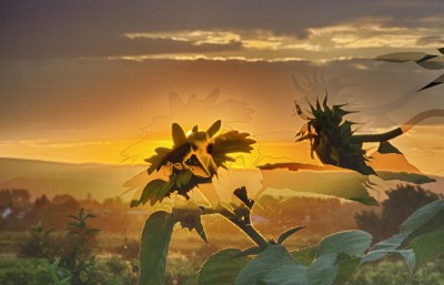 hdr.jpg
