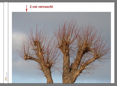 Cover_verruscht.jpg