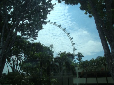 Singapore Flyer.jpg