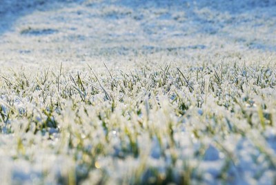 schnee02.jpg
