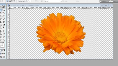 Clipart-Buchrücken1.jpg