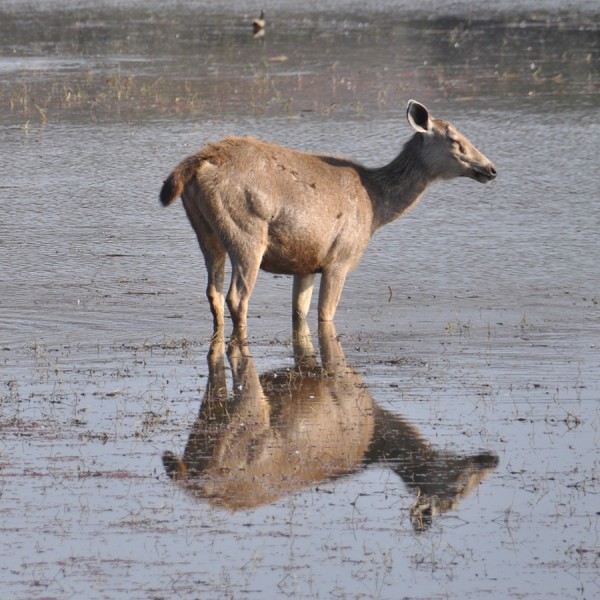 2013-Indien-20022013-040.jpg