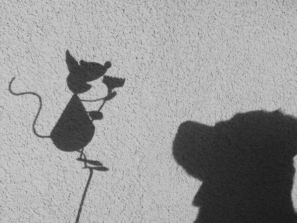 Schatten2.jpg