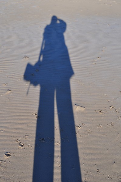 16_08_Schatten.jpg