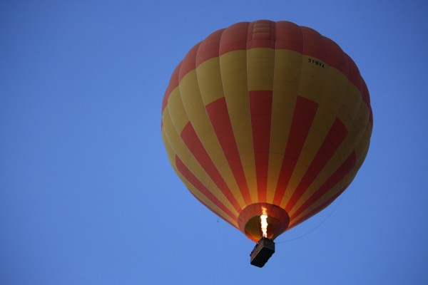 IMG_6633k.jpg