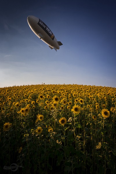 29939746031_48a66993a6_z[1].jpg