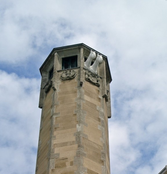 In Köln.JPG
