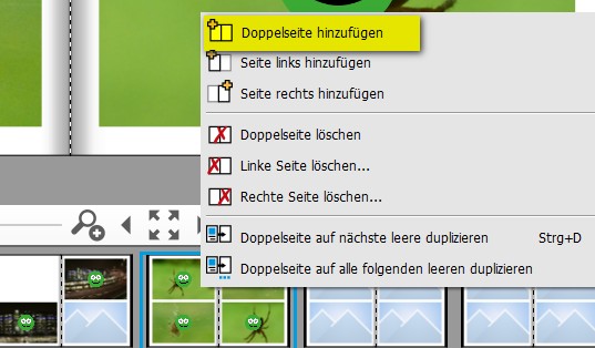 Doppelseite_einfuegen.jpg