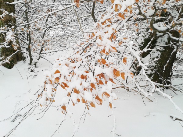 Schnee_03.jpg