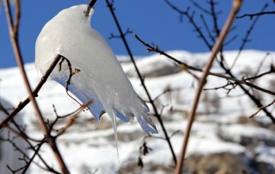 IMG_4815.JPG