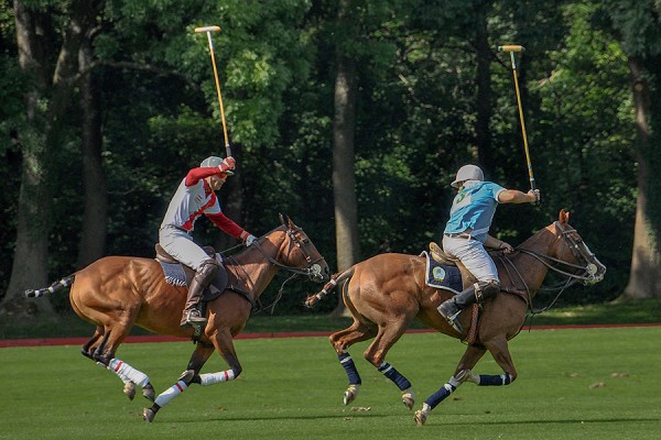 2010-POLO-20100903_36.JPG