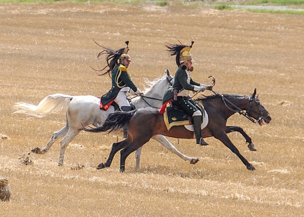 2009-Napoleon20090718_65.jpg