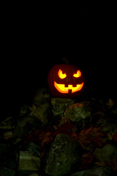 DSC_0647 (2).JPG