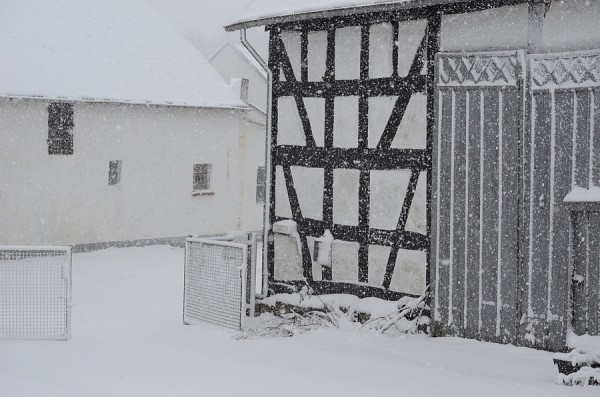 Schnee-DSC_3508.jpg (507.79 KiB) 21744 mal betrachtet Schnee-DSC_3508.jpg