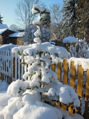 winter klein 3.jpg