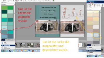 Katzenbuch_klein.jpg