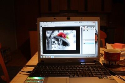 IMG_2683.JPG