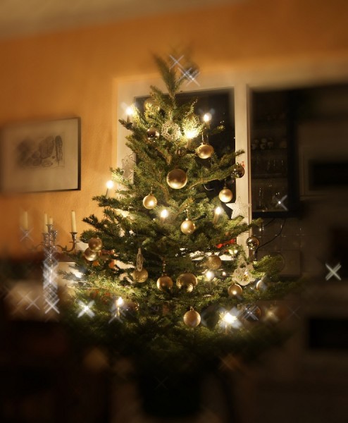 Weihnachtsbaum.jpg