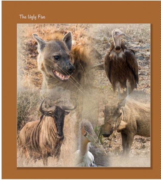 ugly five.JPG