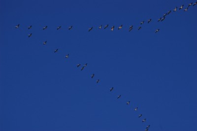 IMGP9675_klein.jpg