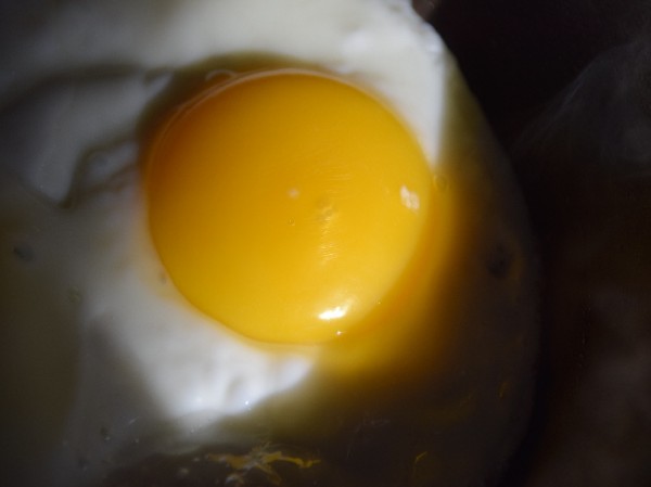 Image00001.jpg