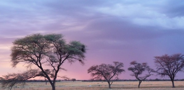 Gewitter Afrika.jpg