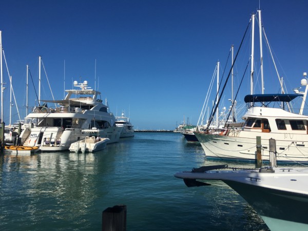 Yachtenv.JPG
