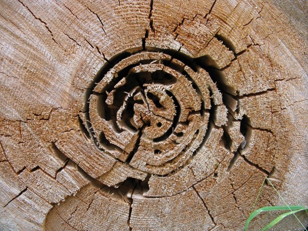 Querschnitt.JPG