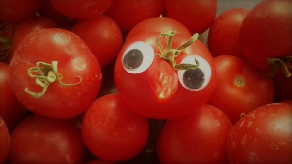 20180808_075631w.jpg