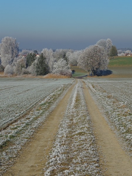 2017-01-01 Weg nach Sigmertshausen_s.jpg