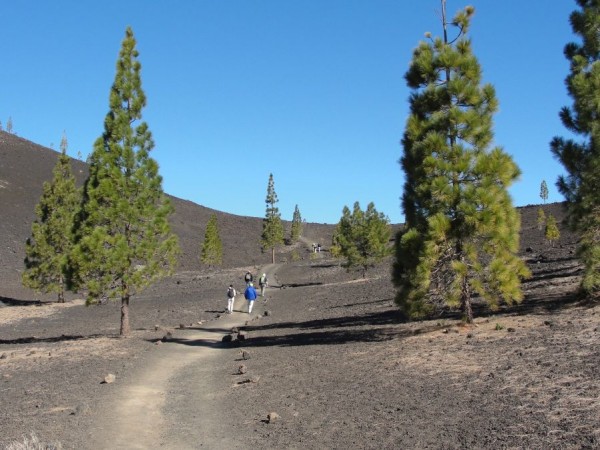 teneriffa_Mirador de Sámara_899.jpg