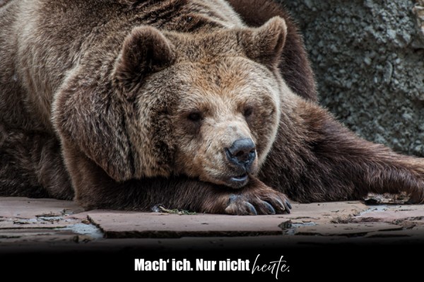 DSC_1801-Bearbeitet.jpg